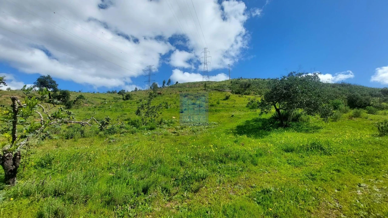 Quinta T2 para Venda em São Silvestre Foto 54