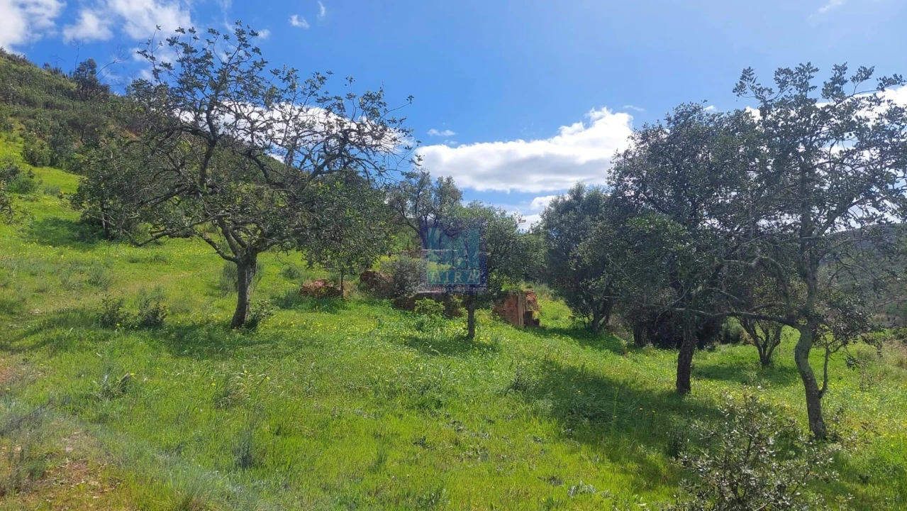 Quinta T2 para Venda em São Silvestre Foto 37