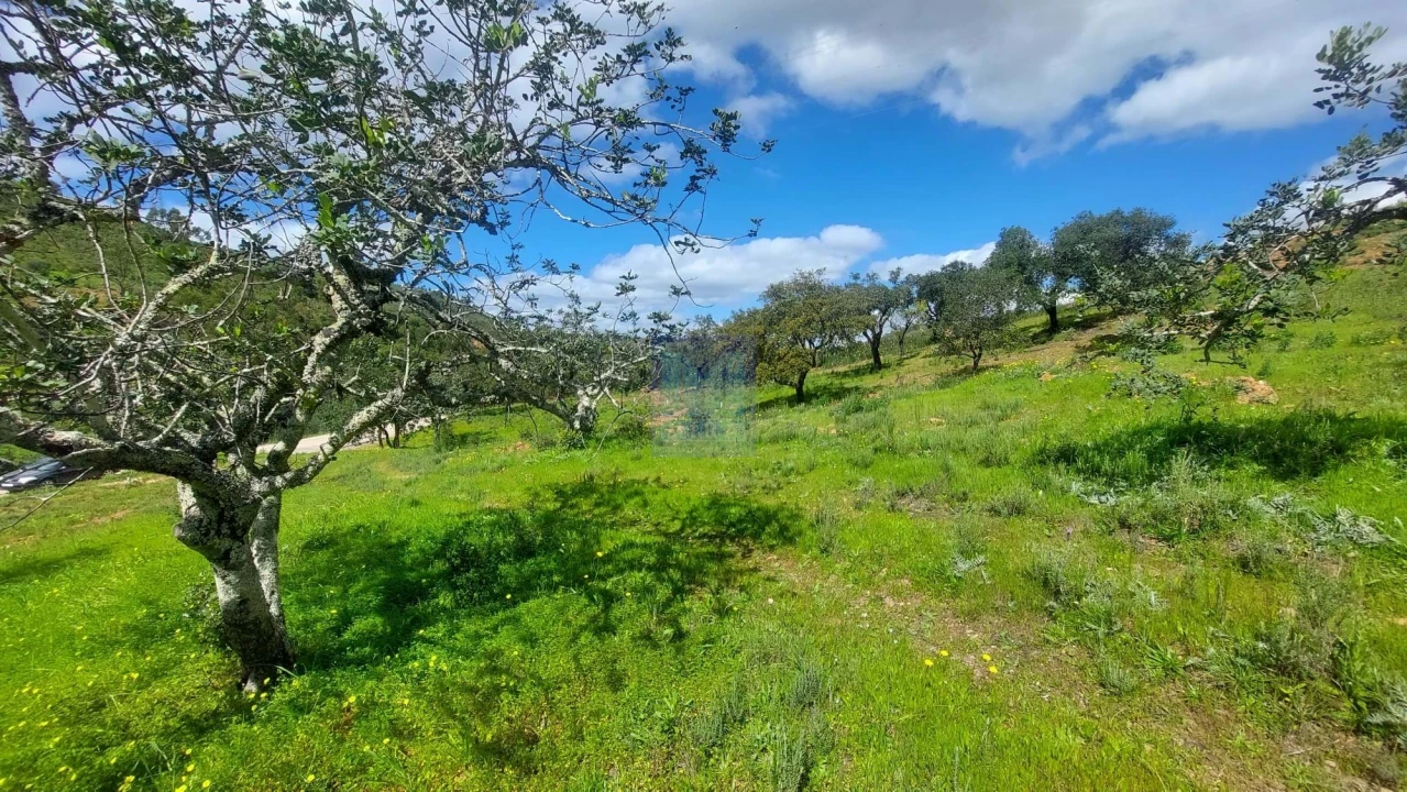 Quinta T2 para Venda em São Silvestre Foto 52