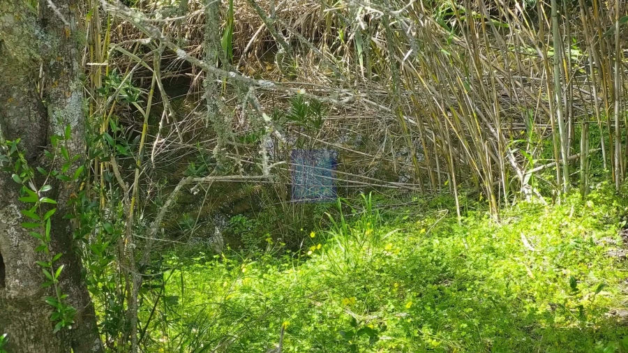 Quinta T2 para Venda em São Silvestre Foto 34