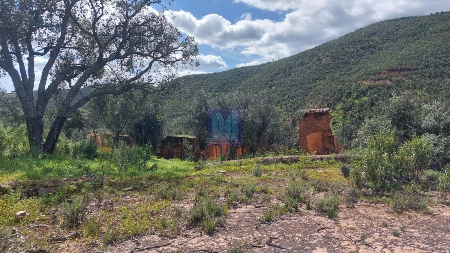 Quinta T2 para Venda em São Silvestre Foto 53