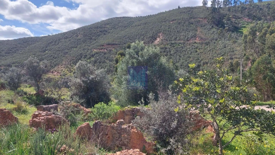 Quinta T2 para Venda em São Silvestre Foto 49