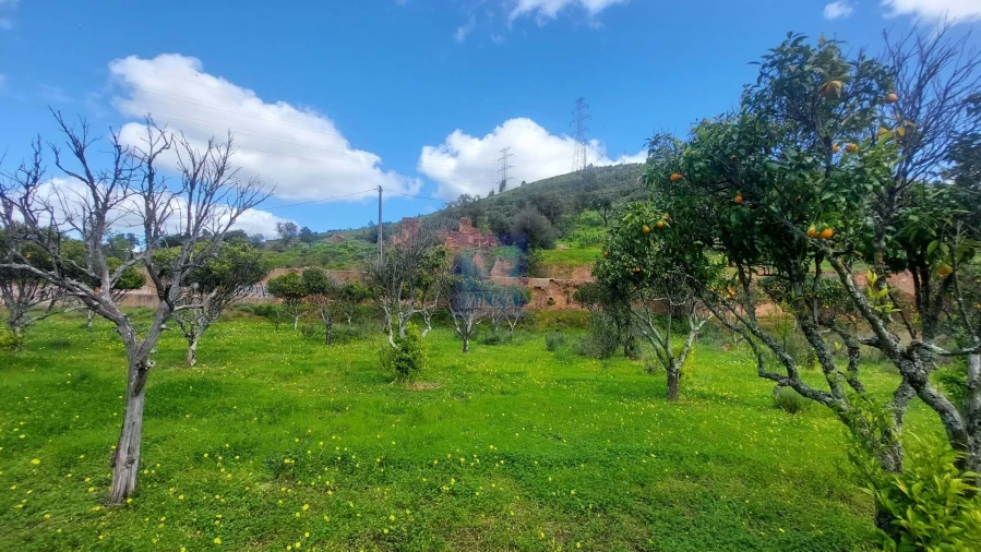 Quinta T2 para Venda em São Silvestre Foto 23