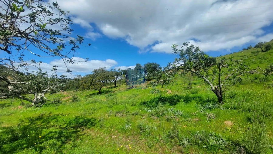 Quinta T2 para Venda em São Silvestre Foto 48