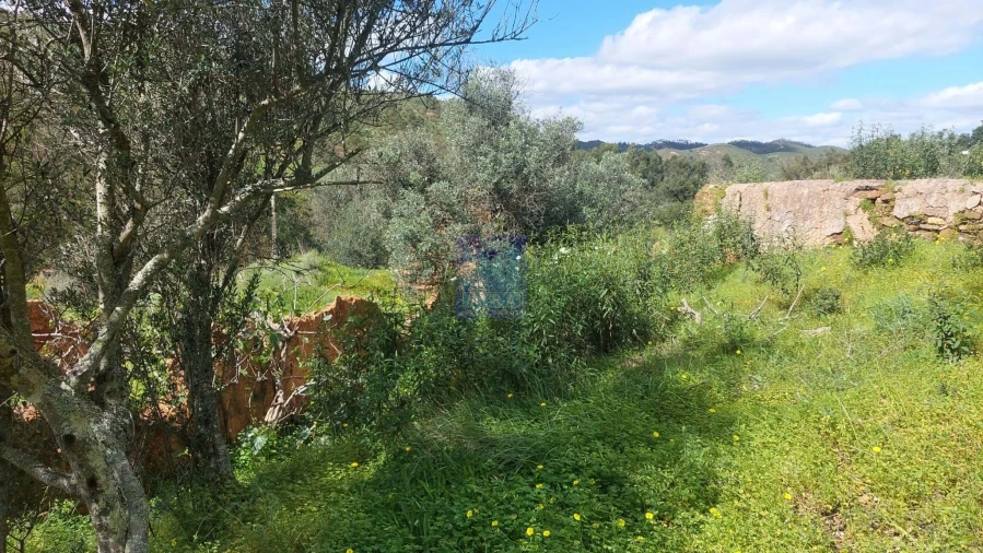 Quinta T2 para Venda em São Silvestre Foto 45