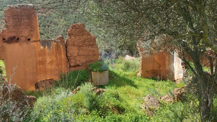 Quinta T2 para Venda em São Silvestre Foto 46