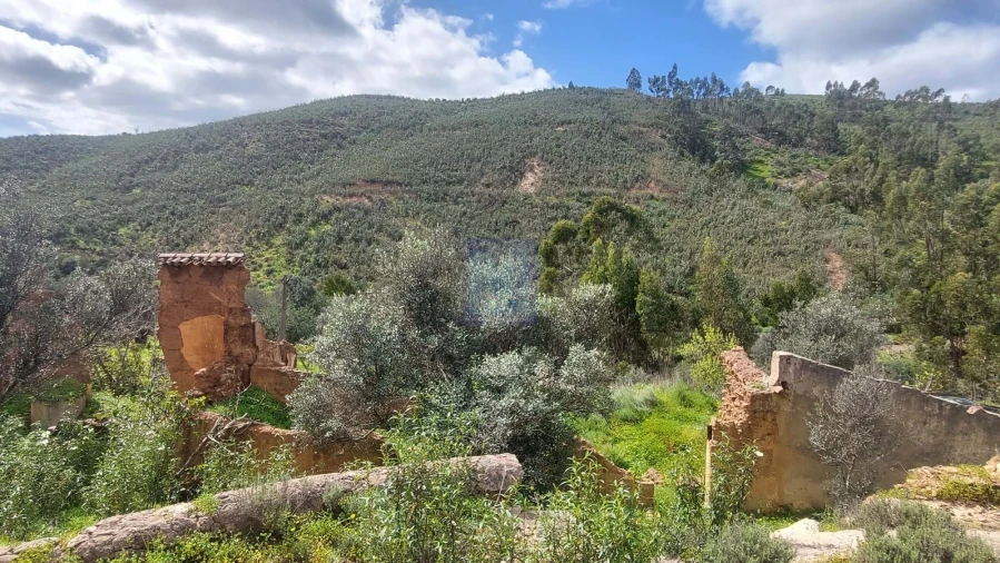 Quinta T2 para Venda em São Silvestre Foto 40