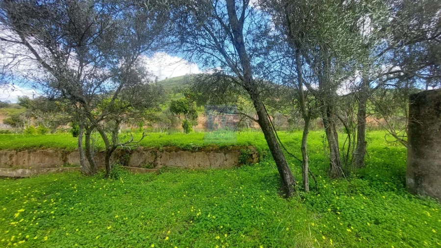 Quinta T2 para Venda em São Silvestre Foto 21