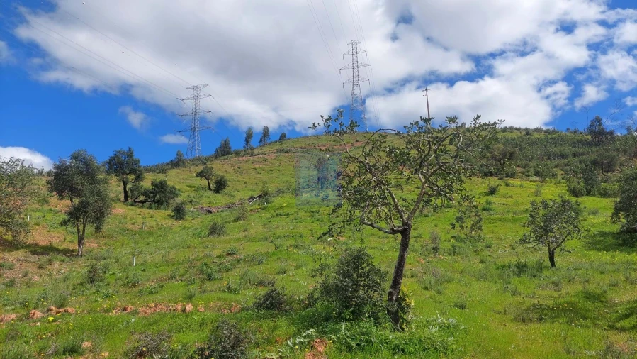Quinta T2 para Venda em São Silvestre Foto 38