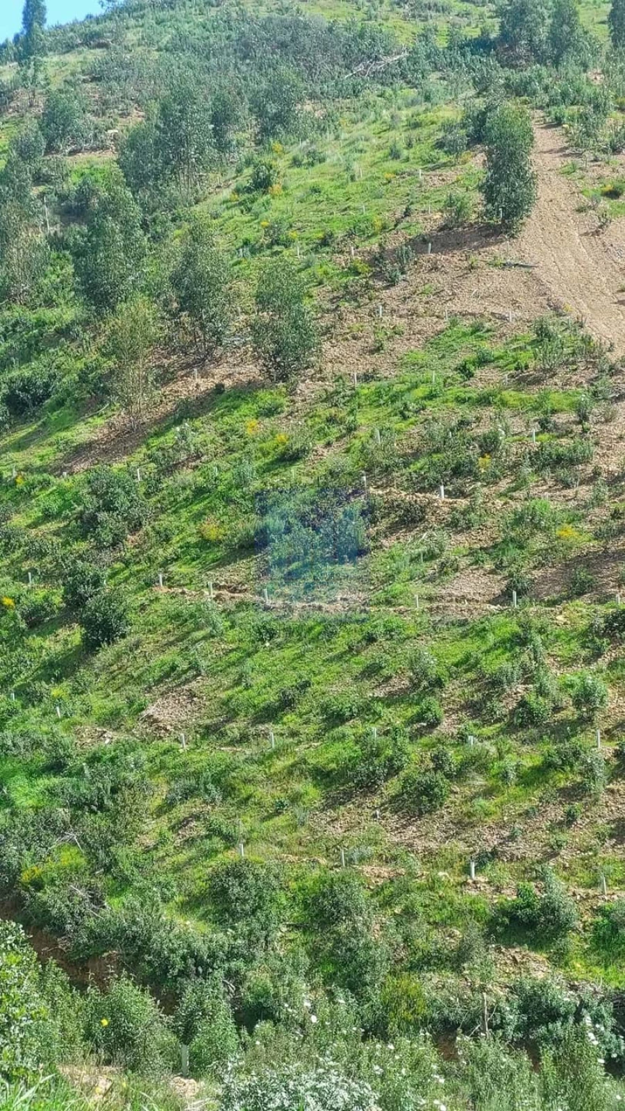 Quinta T2 para Venda em São Silvestre Foto 8