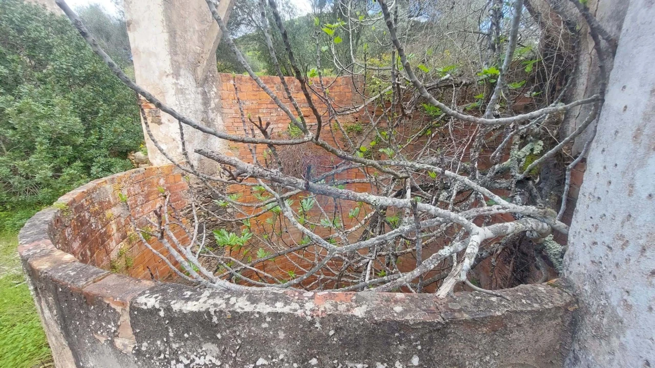 Quinta T2 para Venda em São Silvestre Foto 28