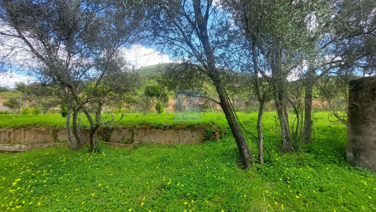 Quinta T2 para Venda em São Silvestre Foto 21