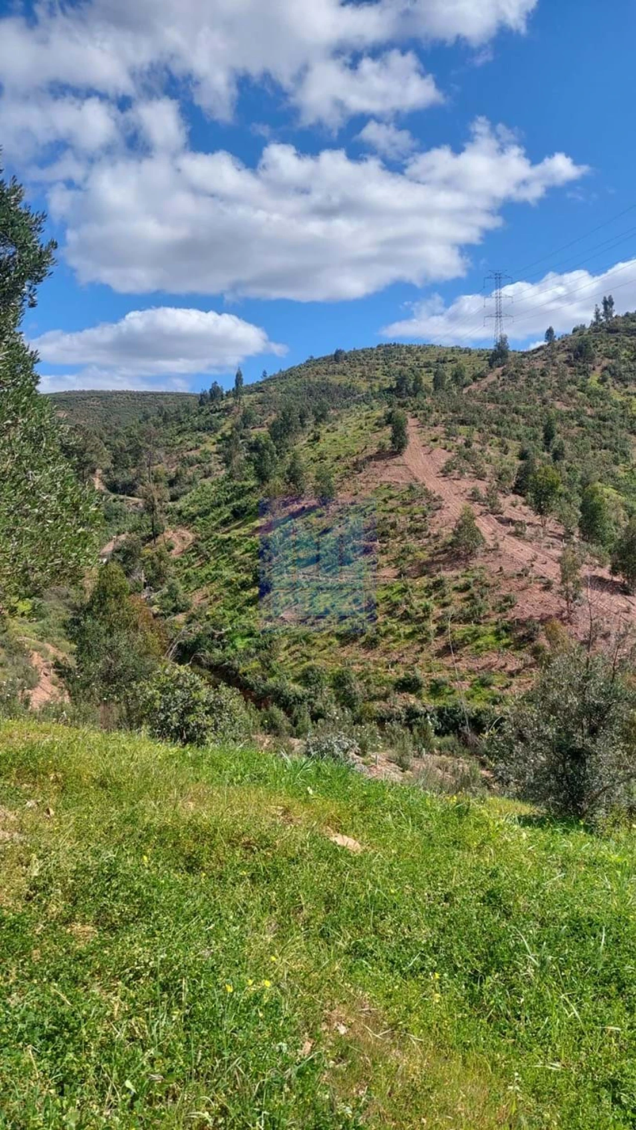 Quinta T2 para Venda em São Silvestre Foto 9