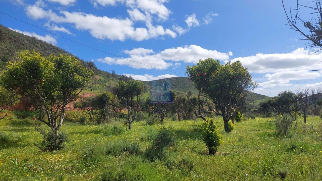 Quinta T2 para Venda em São Silvestre Foto 32