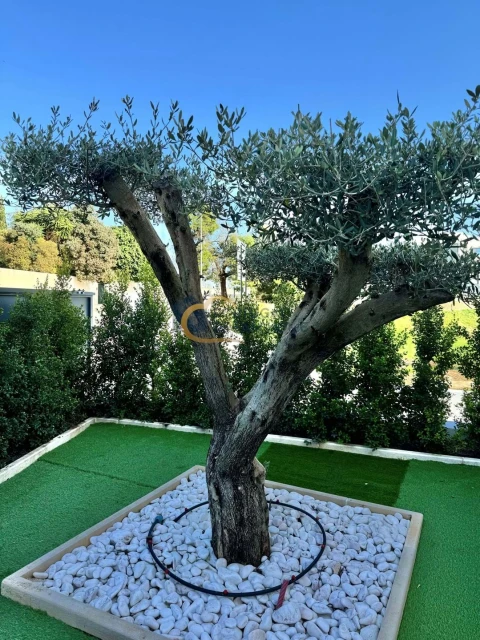 Moradia T4 para Venda em Albufeira e Olhos de Água