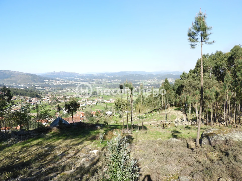 Terreno Agricola ou Rústico para Venda em Quintiães e Aguiar Foto 6