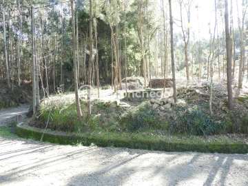 Terreno Agricola ou Rústico para Venda em Quintiães e Aguiar