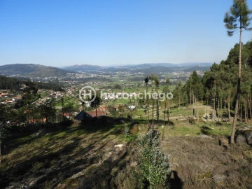 Terreno Agricola ou Rústico para Venda em Quintiães e Aguiar