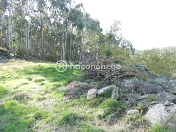Terreno Agricola ou Rústico para Venda em Quintiães e Aguiar