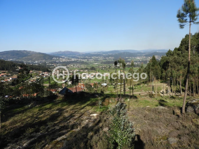 Terreno Agricola ou Rústico para Venda em Quintiães e Aguiar Foto 1