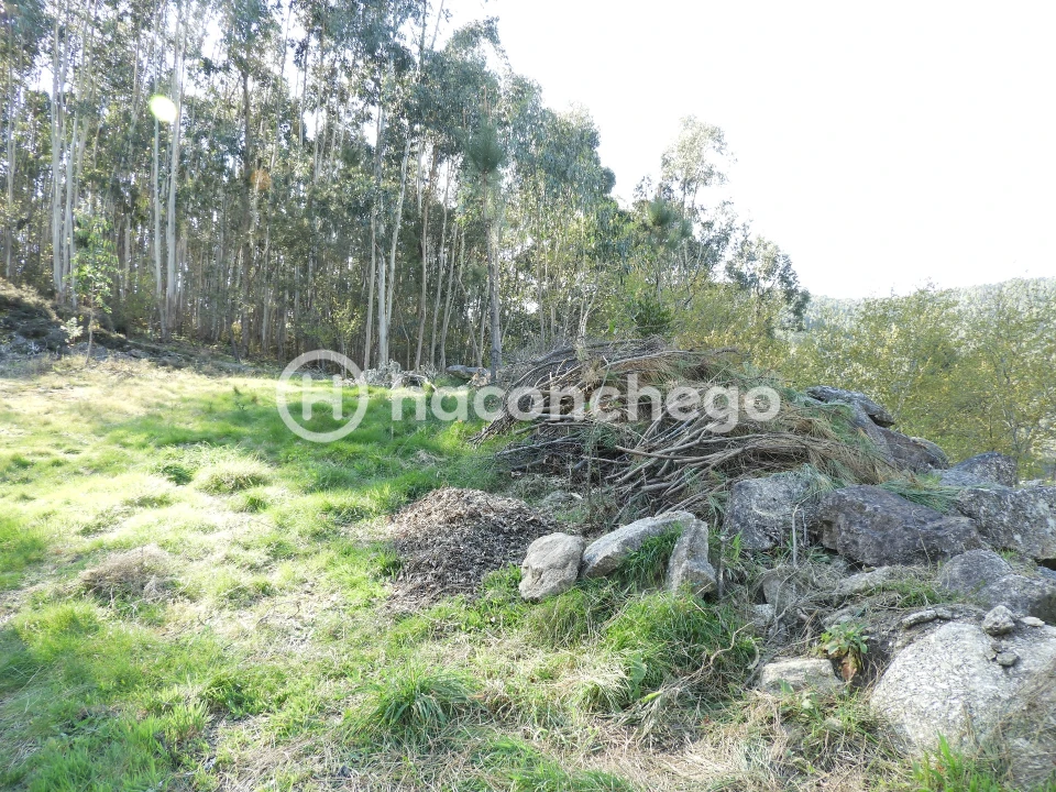 Terreno Agricola ou Rústico para Venda em Quintiães e Aguiar Foto 7