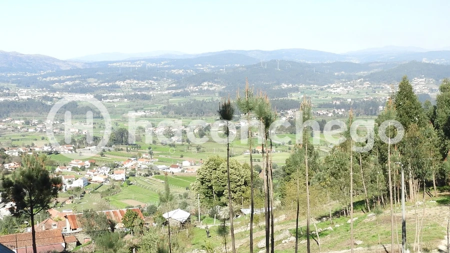 Terreno Agricola ou Rústico para Venda em Quintiães e Aguiar