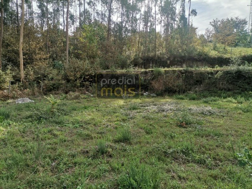 Terreno para Venda em Castelões Foto 4