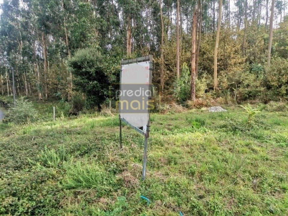 Terreno para Venda em Castelões Foto 6