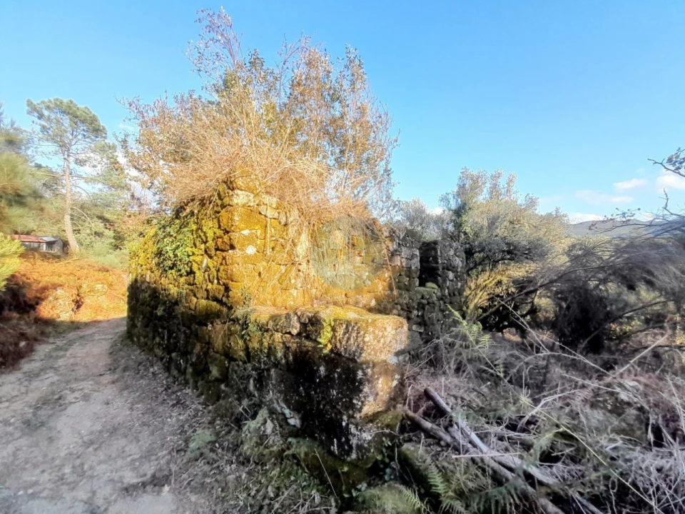 Quinta T2 para Venda em Soajo Foto 6