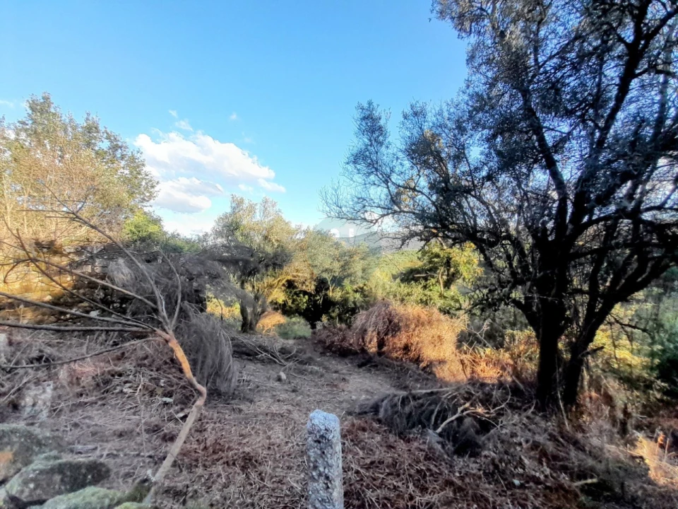 Quinta T2 para Venda em Soajo Foto 8