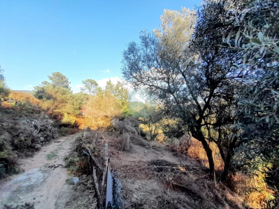 Quinta T2 para Venda em Soajo Foto 11