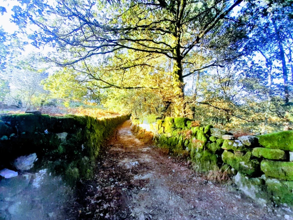 Quinta T2 para Venda em Soajo Foto 13