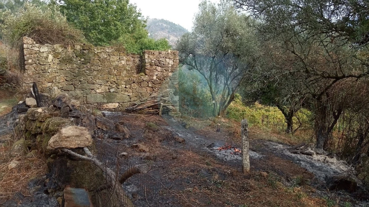 Quinta T2 para Venda em Soajo Foto 15