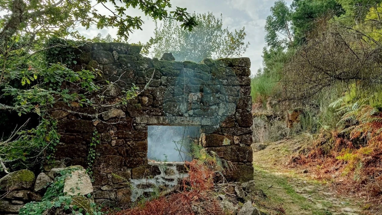 Quinta T2 para Venda em Soajo Foto 18