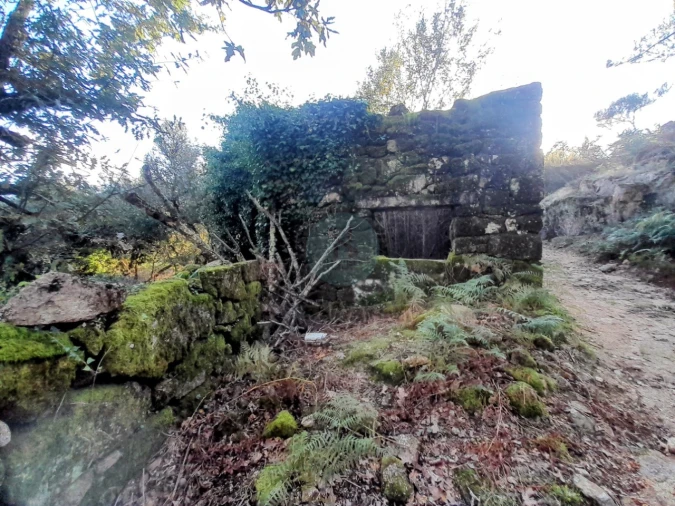 Quinta T2 para Venda em Soajo Foto 5