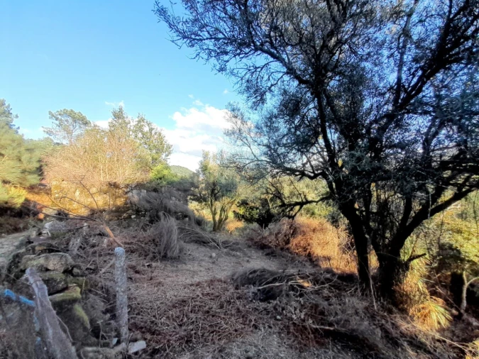 Quinta T2 para Venda em Soajo Foto 10