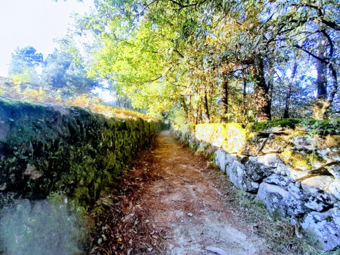 Quinta T2 para Venda em Soajo Foto 12