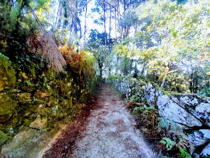 Quinta T2 para Venda em Soajo Foto 14