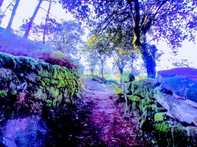 Quinta T2 para Venda em Soajo Foto 17