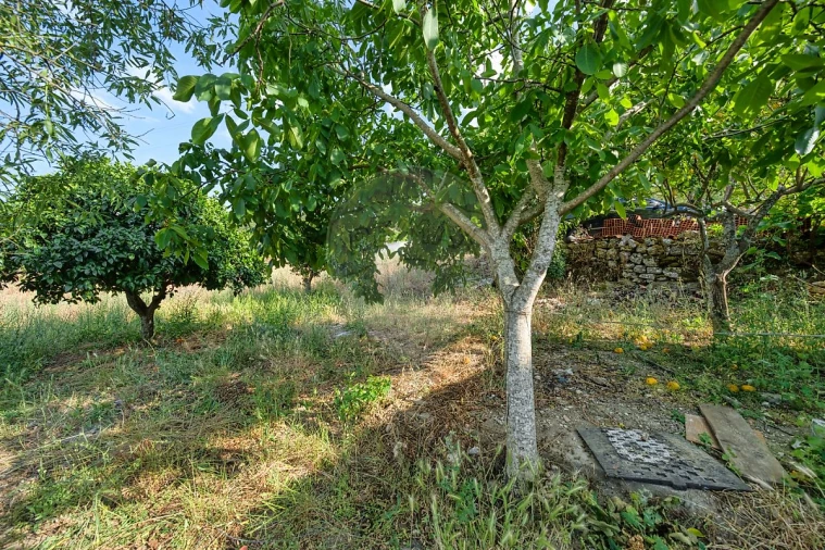 Moradia T3 para Venda em Pedrogão Foto 12