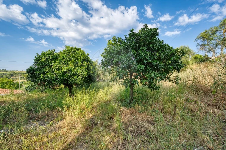 Moradia T3 para Venda em Pedrogão Foto 15