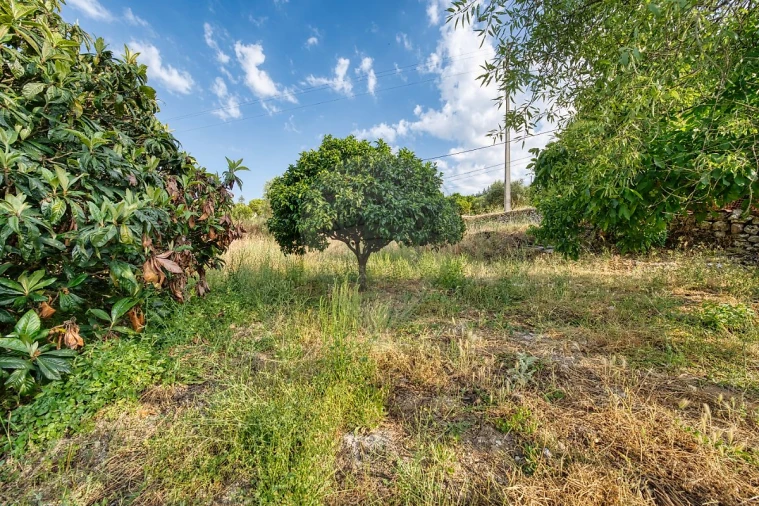 Moradia T3 para Venda em Pedrogão Foto 14