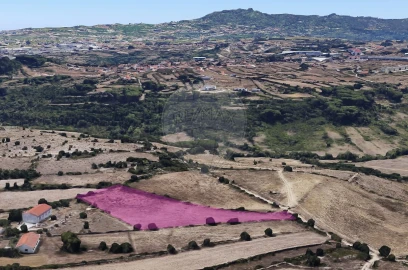 Terreno para Venda em São João das Lampas e Terrugem