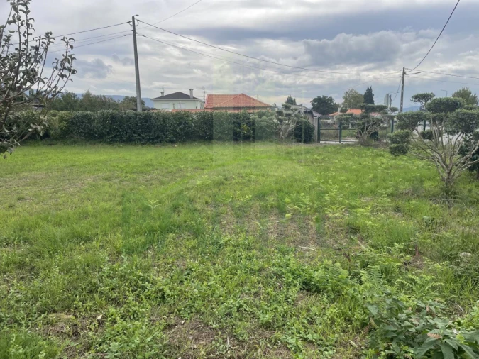 Terreno para Arrendamento em Gandra e Taião Foto 3