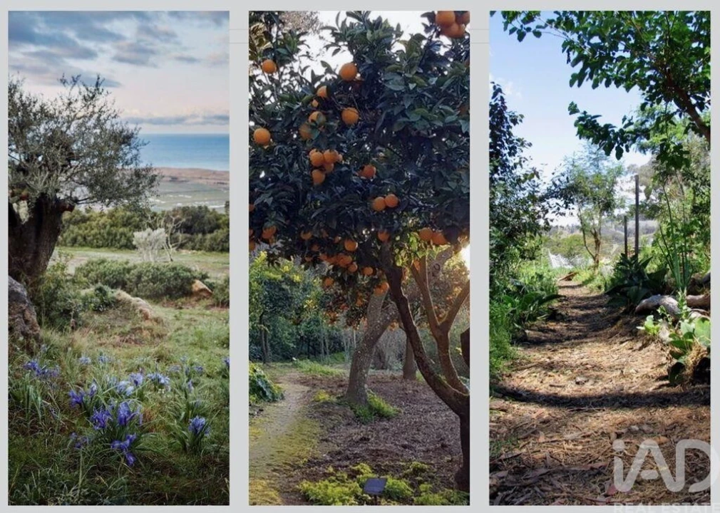 Moradia T2 para Venda em Bensafrim e Barão de São João Foto 17