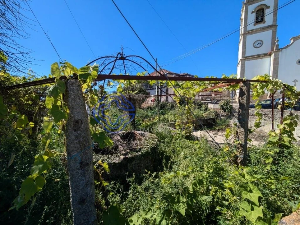 Terreno para Venda em São Miguel do Outeiro e Sabugosa Foto 6