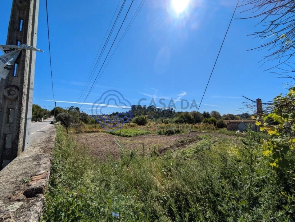 Terreno para Venda em São Miguel do Outeiro e Sabugosa Foto 7