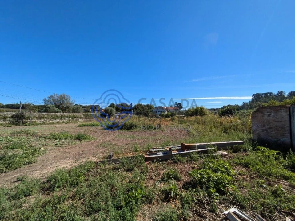 Terreno para Venda em São Miguel do Outeiro e Sabugosa Foto 2