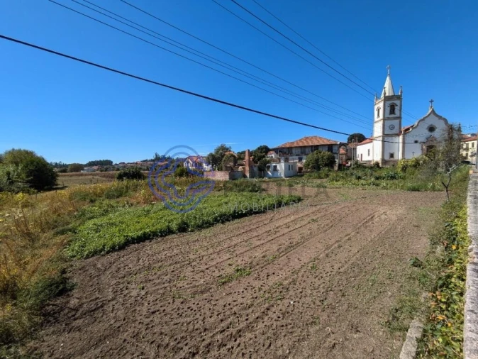 Terreno para Venda em São Miguel do Outeiro e Sabugosa Foto 8