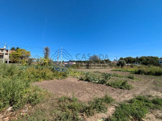 Terreno para Venda em São Miguel do Outeiro e Sabugosa Foto 1